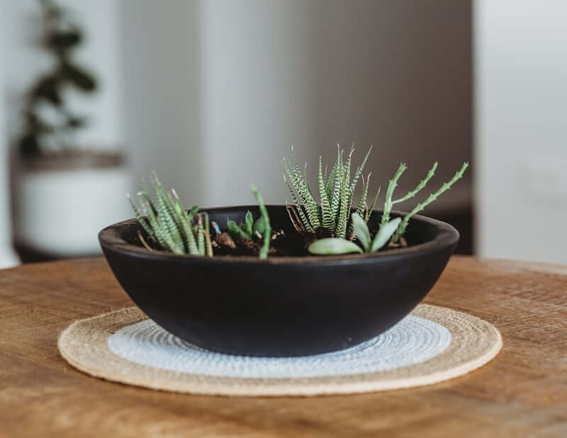 coiled cotton rope bowl DIY home decor idea