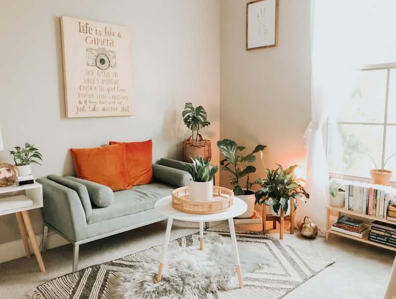 Indoor plant adding life to a budget living room corner