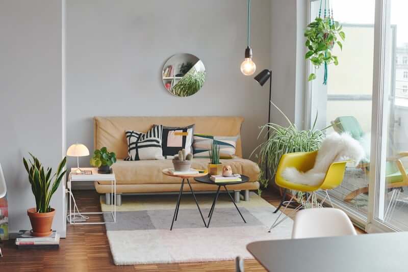 Low-maintenance plant adding life to a small apartment